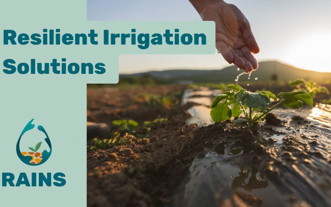 Resilient Irrigation Solutions for a Water-Scarce Europe | RAINS
