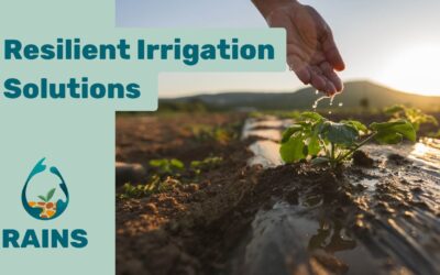 Resilient Irrigation Solutions for a Water-Scarce Europe | RAINS