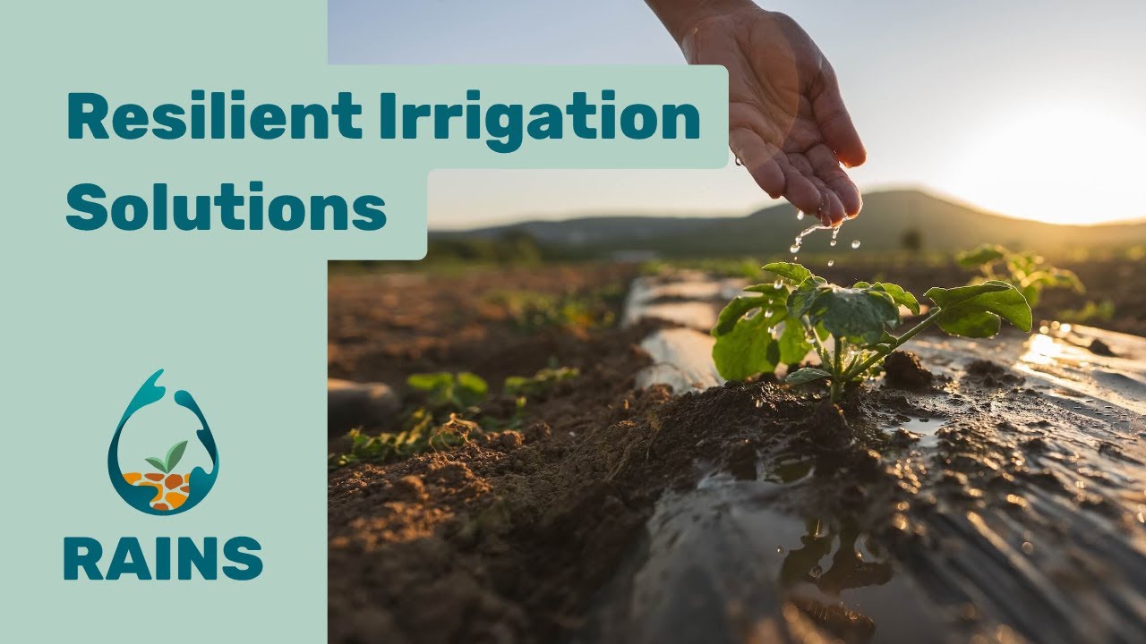 Resilient Irrigation Solutions for a Water-Scarce Europe | RAINS